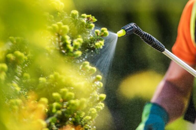 What are plant protection products and what types are there