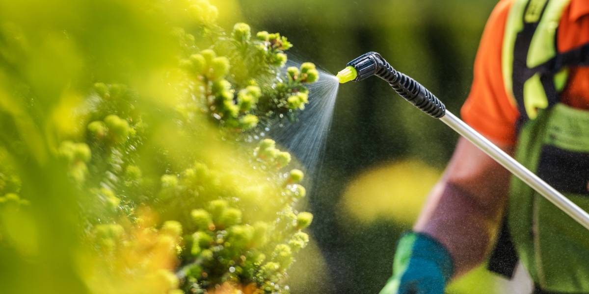 Blog Productos Fitosanitarios What are plant protection products and what types are there